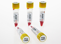 50bp DNA Ladder-PM301