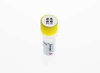 10x菌落菌液PCR增強劑-PR304